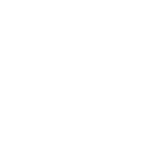 The Aesthetic Society